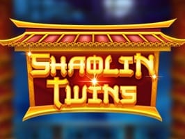 Shaolin Twins screenshot